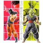 image Sangoku et Piccolo !
