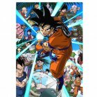 OAV Spécial : le retour de Son Gokû