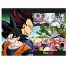 Poster plastifié DBZ - Sangoku et Ennemis