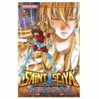 SAINT SEIYA THE LOST CANVAS tome 4
