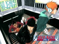 Bleach
